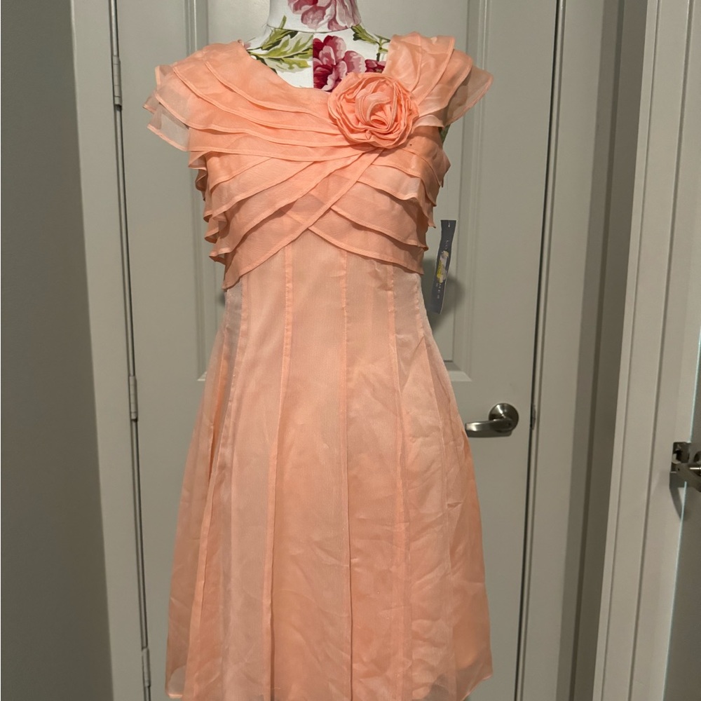 Beautiful Petite Dress!